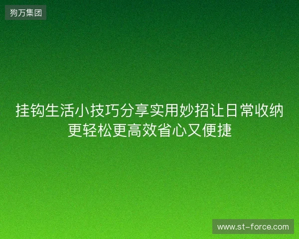 挂钩生活小技巧分享实用妙招让日常收纳更轻松更高效省心又便捷